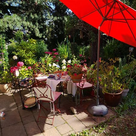 B&B Am Park Райнфельден Экстерьер фото